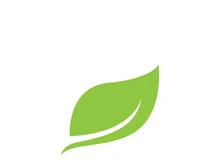 Logos of green Tree leaf ecology