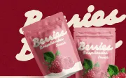 Broken Chunky - Classy Bold Script Font