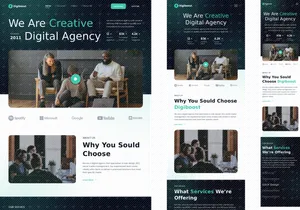Digiboost - Landing Page for All Agency