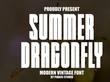 Summer Dragonfly - Modern Vintage Font preview picture