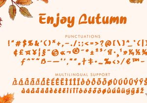Enjoy Autumn