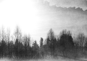 5 Distressed Ink Overlay Textures