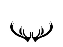 Deer logo template vector icon illustration design