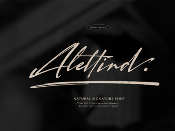 Alletind | Natural Signature Font preview picture