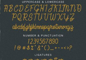 Feri Candi - Monoline Script Font