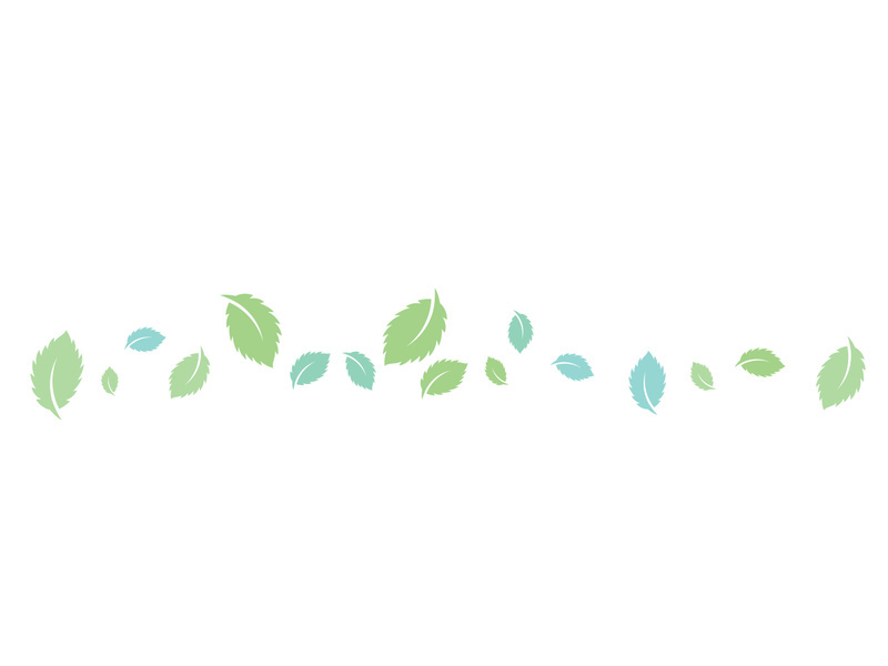 Mint Leaf icon template  illustration