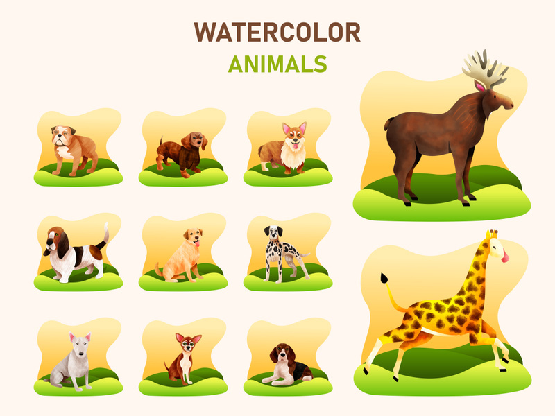 Watercolor Animals Set, vector illustration