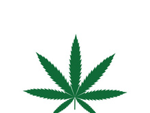 Canabis leaf logo and symbol vector