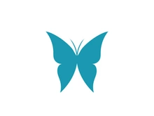 Butterfly icon design