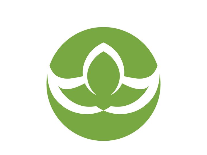 Vegan leaf green eco logo nature