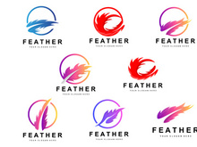 Feather Logo, Animal Wing Design, Vector Icon Template Simple