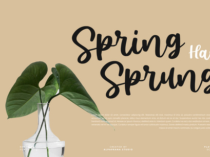 Sunshine - Script Font