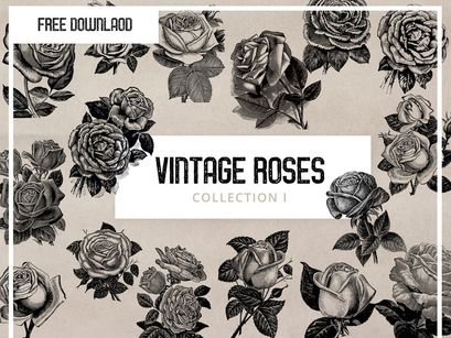 Free Vintage Roses Illustration