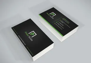 Professional Business Card