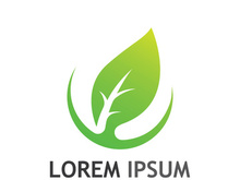 Natural green leaf logo design.