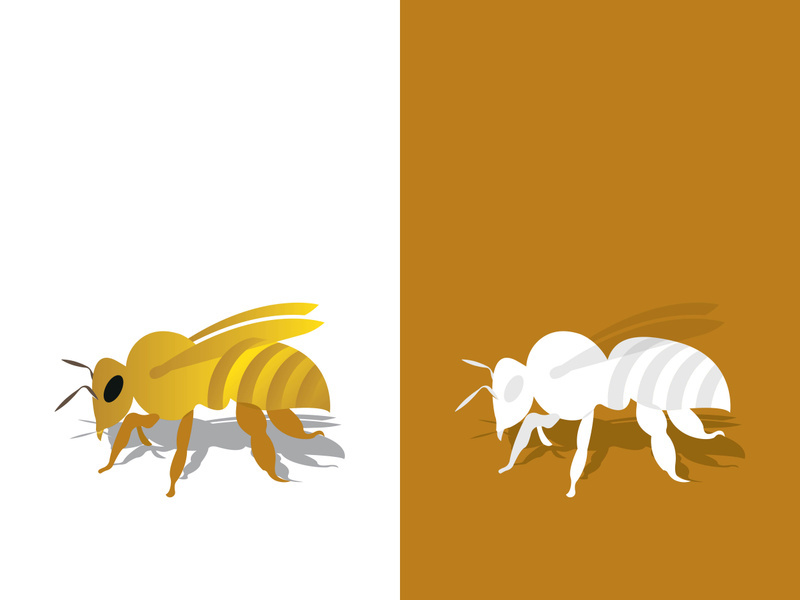 Bee logo vector icon illustration design