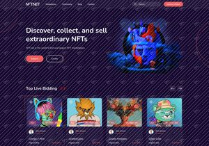 NFT Landing Page UI Design