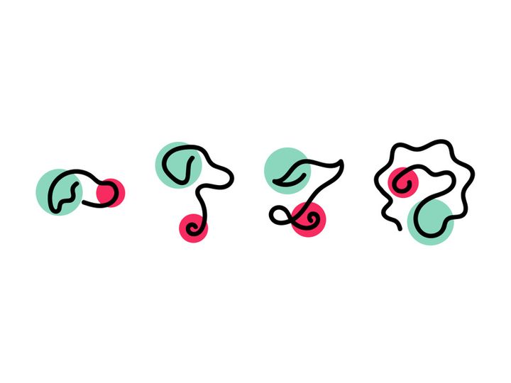 Dog Logo Set Collection Minimal Vector Designs