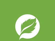 Leaf logo green nature vector image