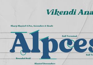 VIKENDI - FREE BOLD SERIF FONT