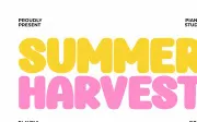 Summer Harvest - Playful Display Font