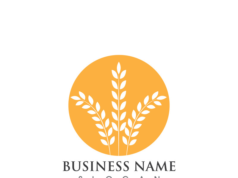 Agriculture wheat logo and symbol vector