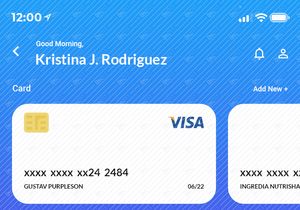 Finance Tracking Mobile App UI Kit Dark Version