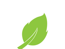 Leaf logo vector icon design template