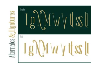 The Lingke – Stylish Modern Serif Font