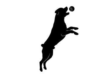 Dog silhouette jumping to catch a ball in mid air silhouette preview picture