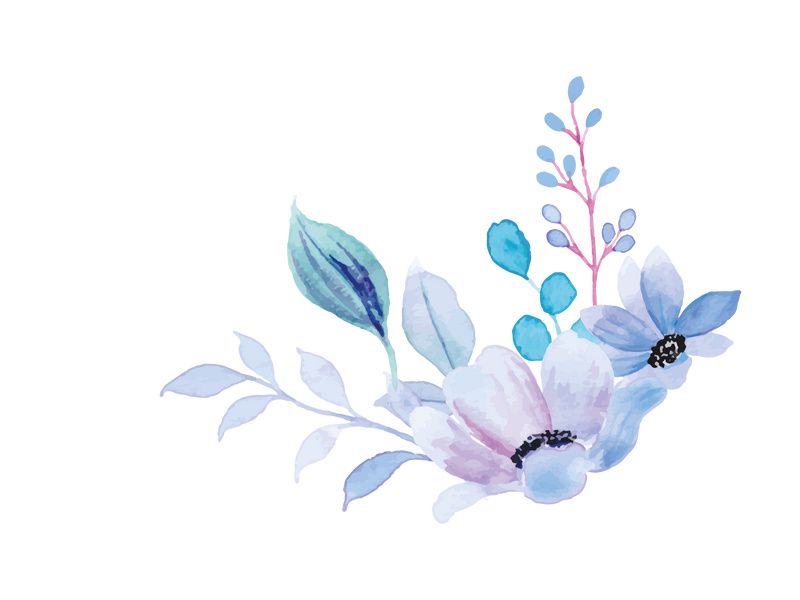 Vector Flower Watercolor Illustration