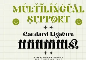 Quowist Display - Modern Unique Serif Display Font