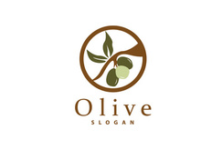 Olive Oil Logo, Olive Leaf Plant Herbal Garden Vector