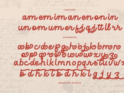 Harfiola | Monoline Script Font