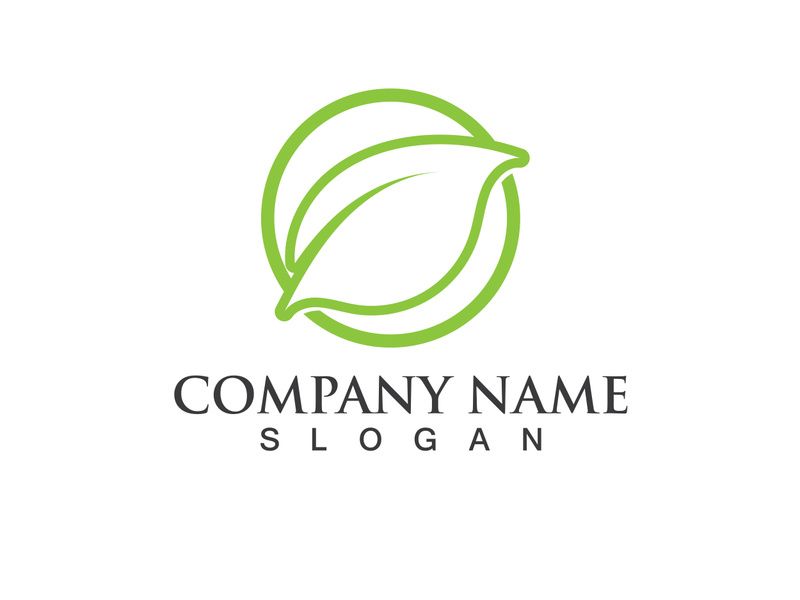 Green leaf logo Vector