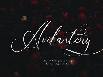 Avilantery | Elegant Calligraphy Script