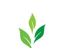 leaf logo green ecology nature element vector image