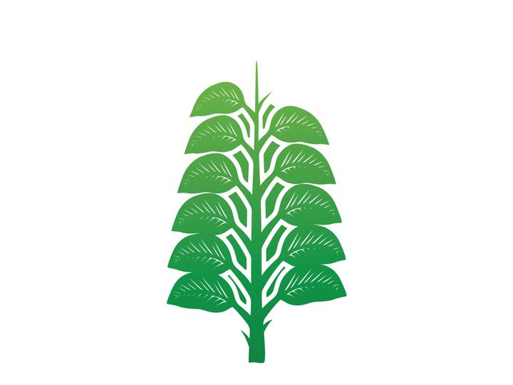 Leaf logo
