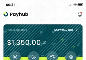 Payhub - Finance Mobile App