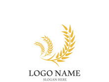 Wheat logo vector icon illustration design