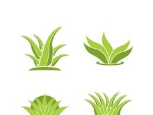 Aloe Vera logo icon design symbol beauty skin care