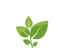 Logos of green tree leaf ecology nature element vector