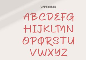 Dhel Fyn | Handwriting Script Font