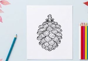 Ilustración de arte lineal de piña. Boceto botánico dibujado a mano de una cápsula de semillas de conífera.
