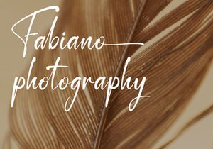 Destoria Font