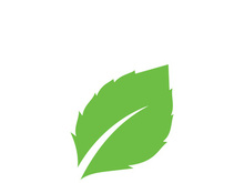leaf logo green ecology nature element vector image