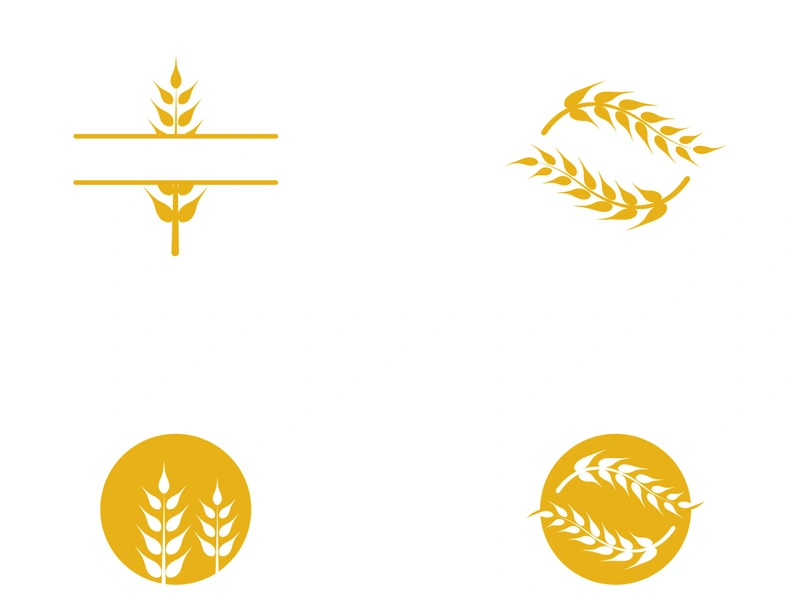 Agriculture wheat vector