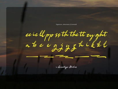 Bellford Dusktime | Retro Script