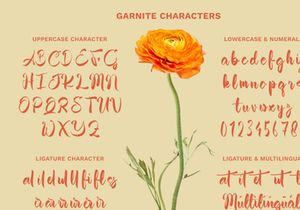 Garnite - Handwritten Script Font