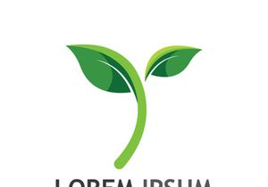 Natural green leaf logo design.
